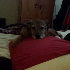 Meet your Posher, Joanne